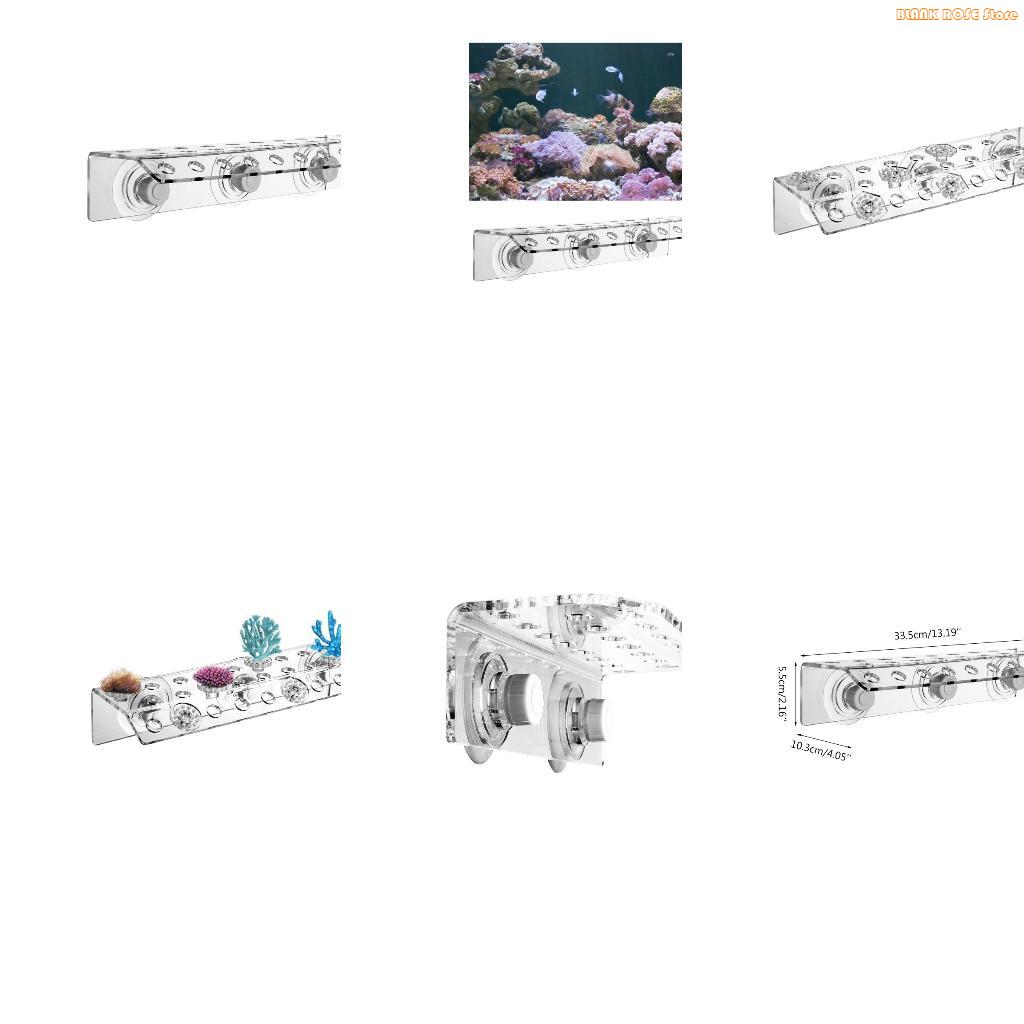 Reef Aquarium - K1AE Acryl-Korallenfragmentregal für Aquarien. Leistungsstarker Saugnapf