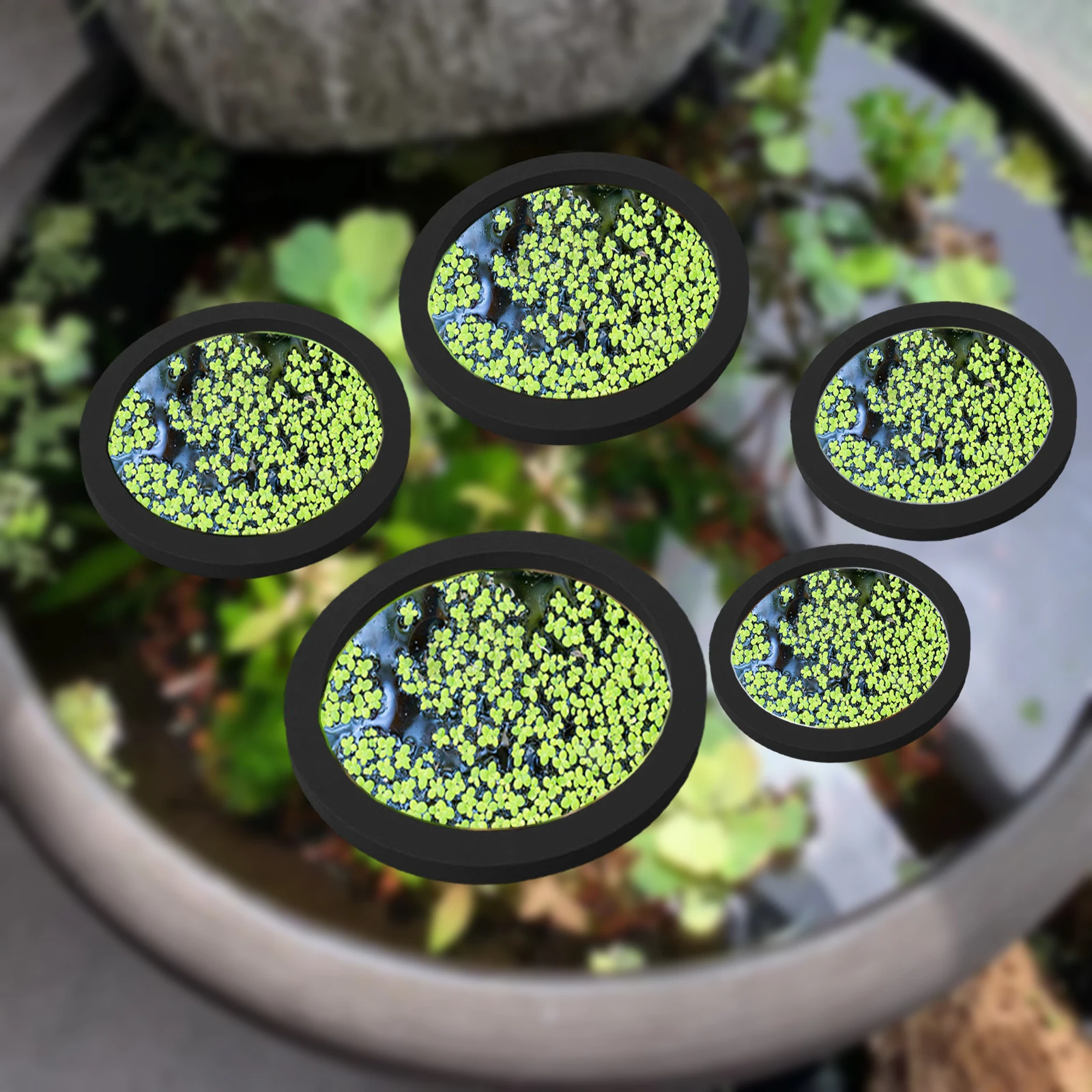 Ocean Aquarium - 5Pcs EVA Fisch Fütterung Ring Aquarium