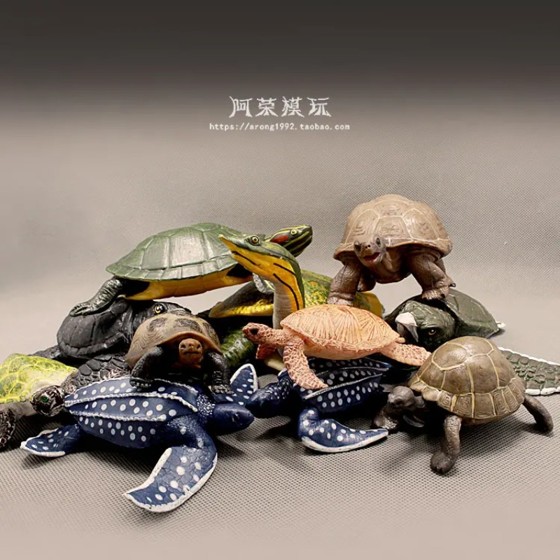 Lederback Rotohrschildkröte La – Ocean Aquarium Bewertung und Preis