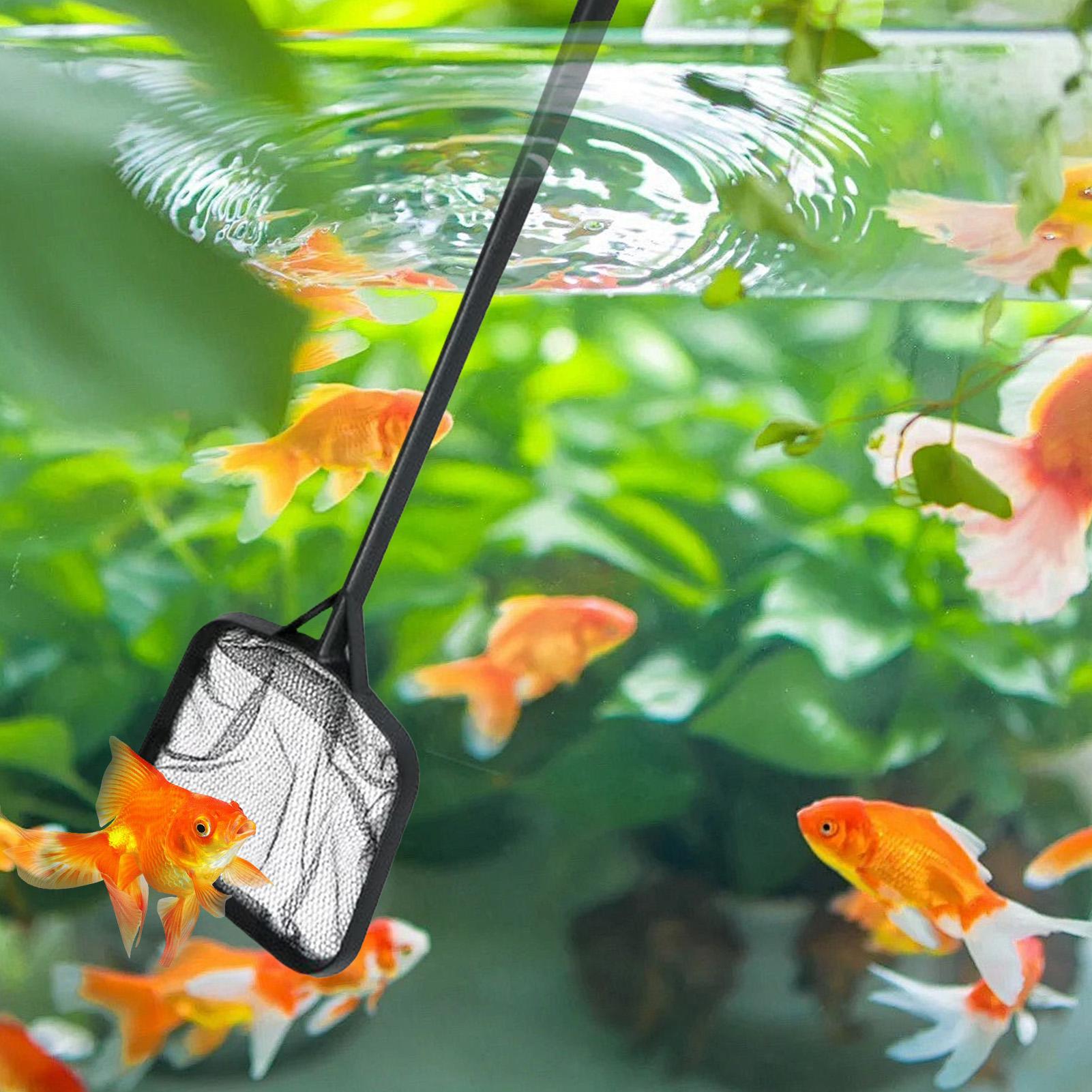 Poolnetze zur Reinigung, tragb – Marine Aquarium Bewertung und Preis