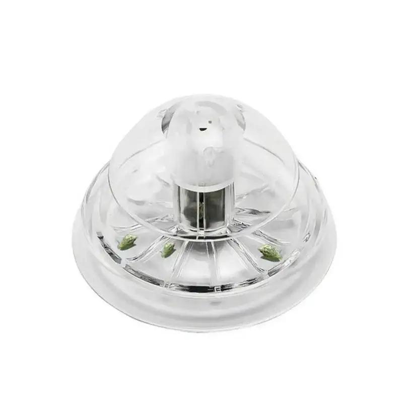 2026 Neu 6/8CM Klare Plastik-S – Marine Aquarium Bewertung und Preis