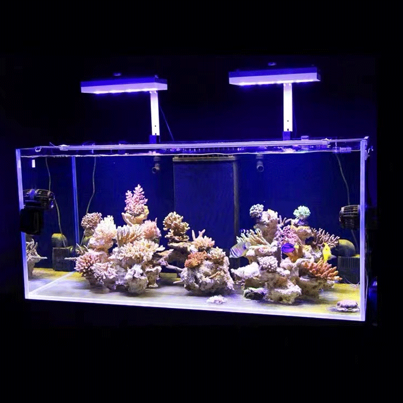 Aqua Lighting AI Hydra 32HD/64 – Reef Lighting Bewertung und Preis