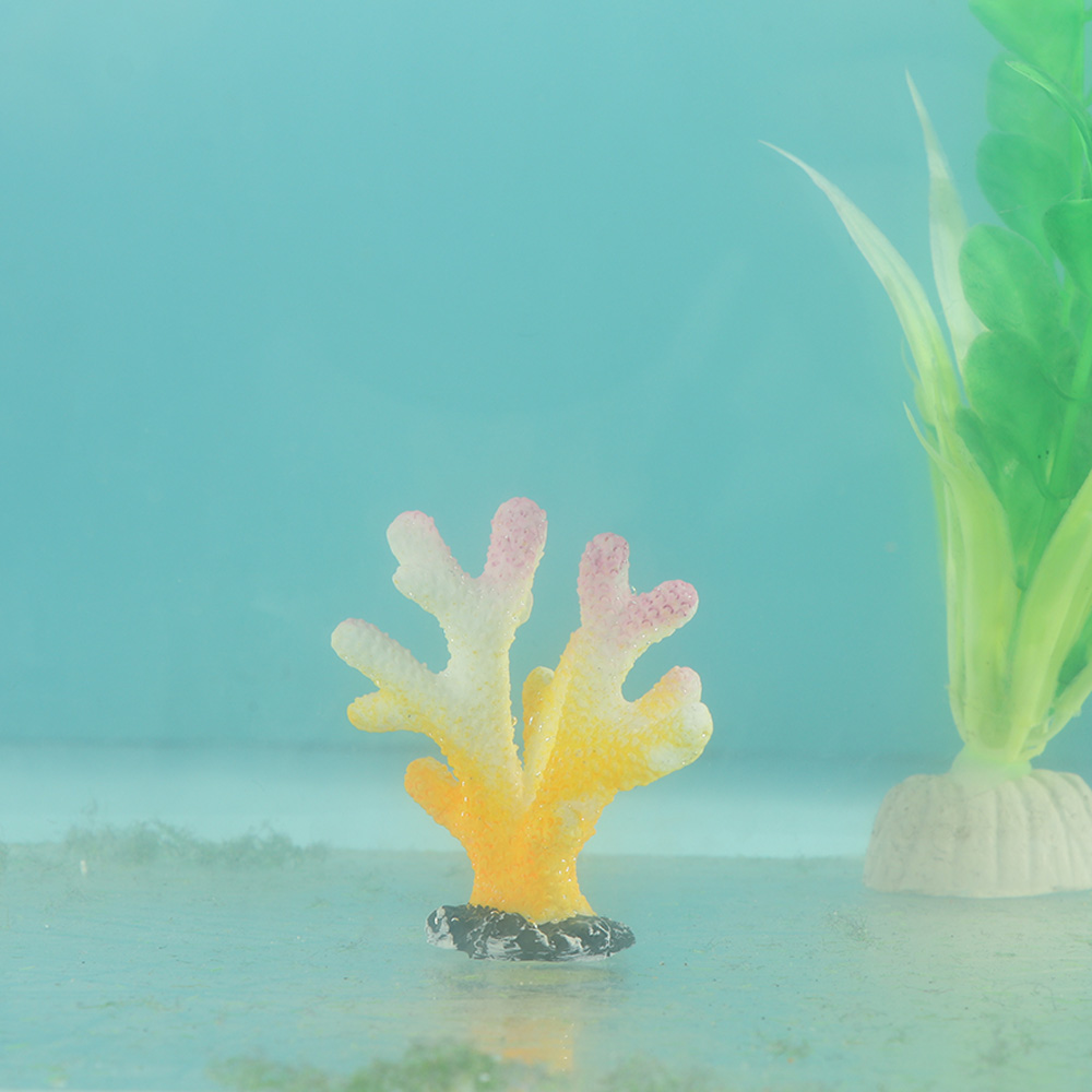 Künstliche Korallen Aquarium O – Reef Aquarium Bewertung und Preis