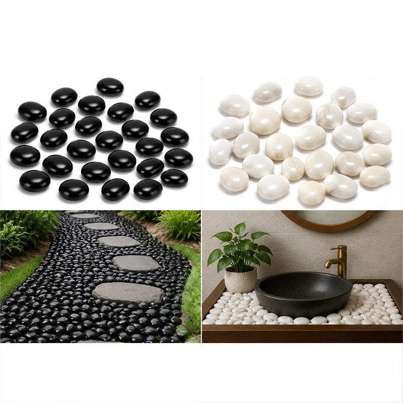 Weiß-schwarze polierte Flussst – Ocean Aquarium Bewertung und Preis