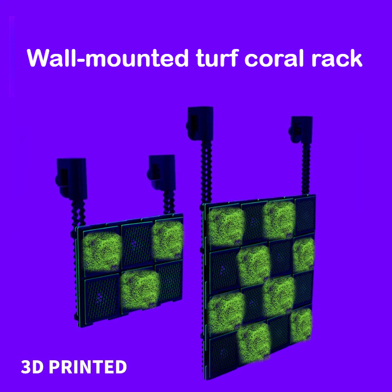 DIY Aquarium Korallenständer S – Saltwater Tank Bewertung und Preis