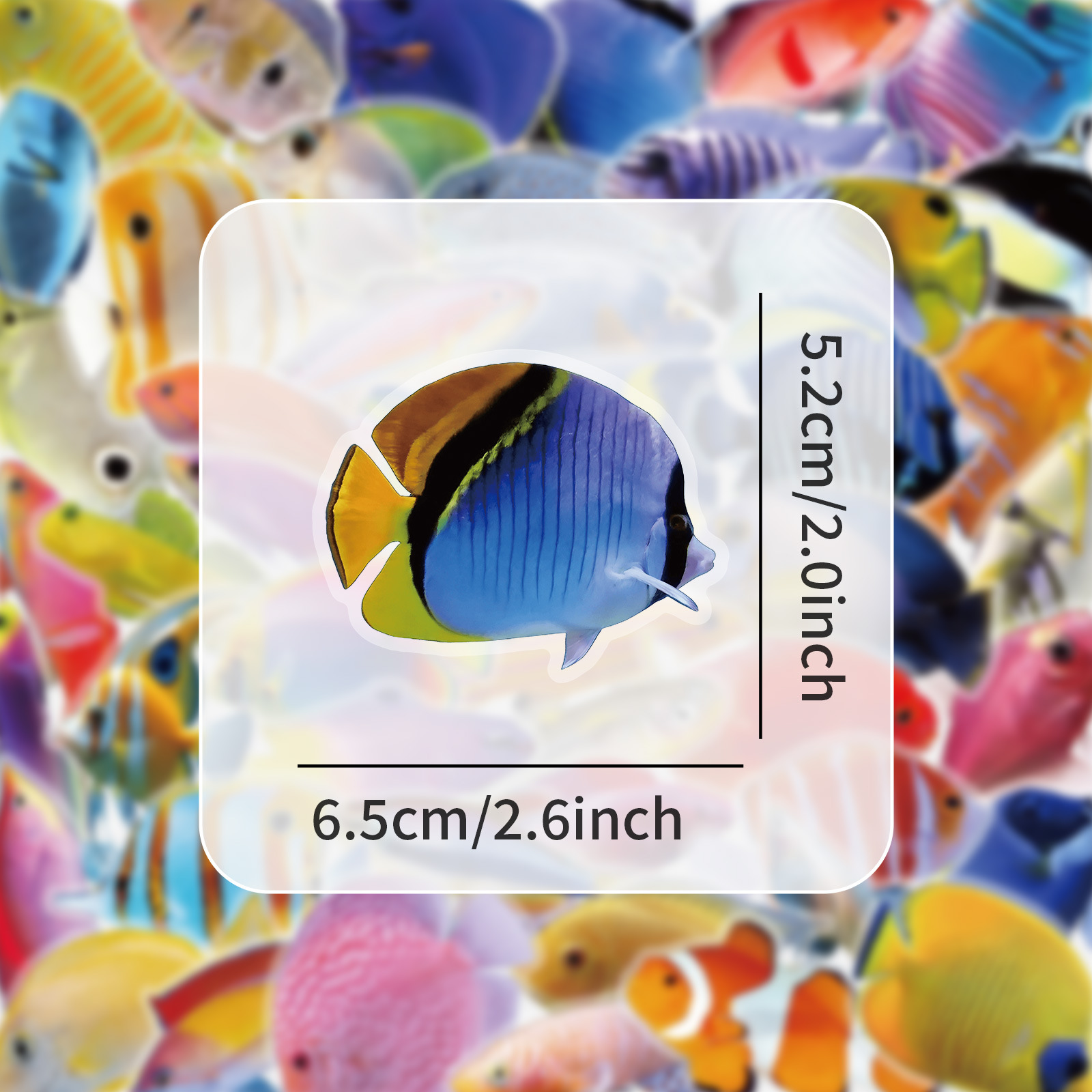 50-100 Stück Transparente PET  – Marine Coral Bewertung und Preis