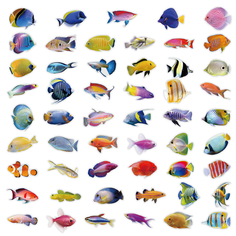 50-100 Stück Transparente PET  – Marine Coral Bewertung und Preis