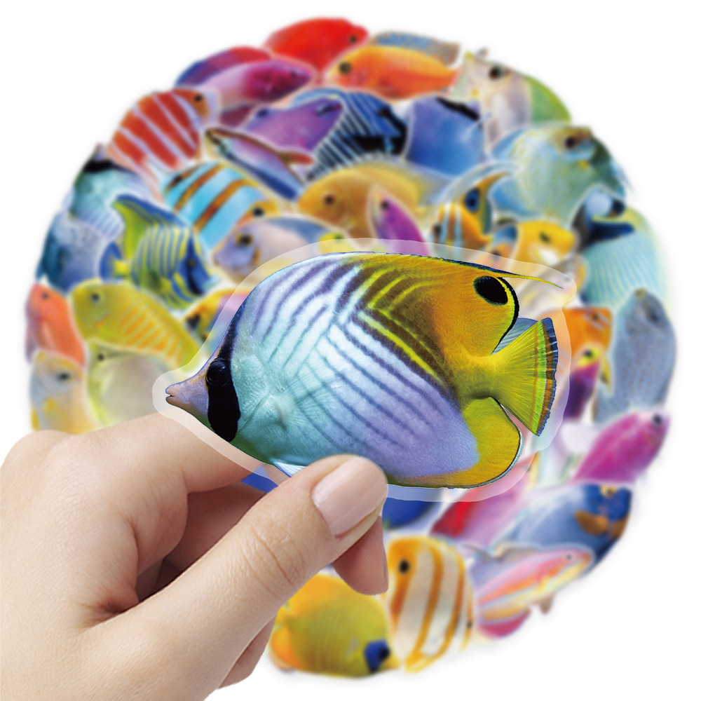 50-100 Stück Transparente PET  – Marine Coral Bewertung und Preis