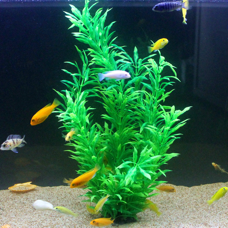 50CM Künstliche Aquarium Selte – Ocean Aquarium Bewertung und Preis