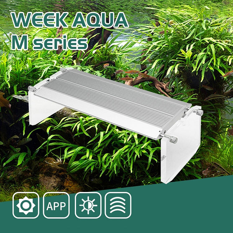 WEEK AQUA Aquarium LED-Leuchte – Reef Lighting Bewertung und Preis