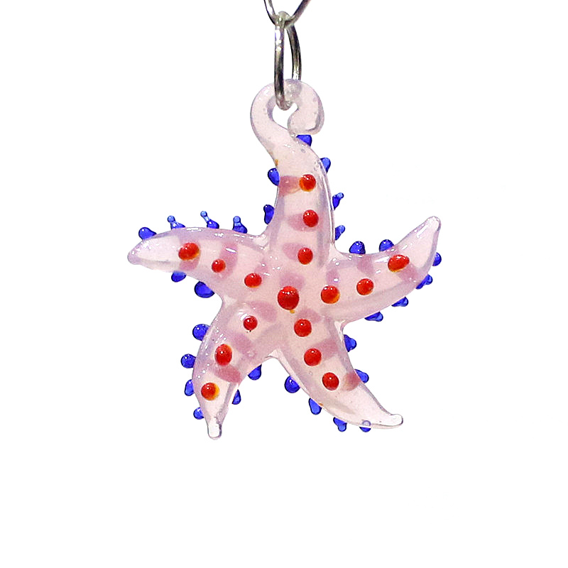 Niedliche meeres tiere Seester – Marine Aquarium Bewertung und Preis