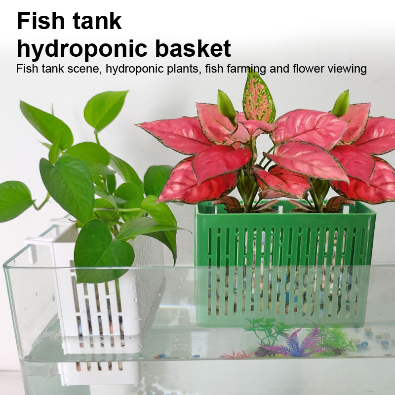 【F】Aquarium-Hängepflanzgefäß,  – Marine Aquarium Bewertung und Preis