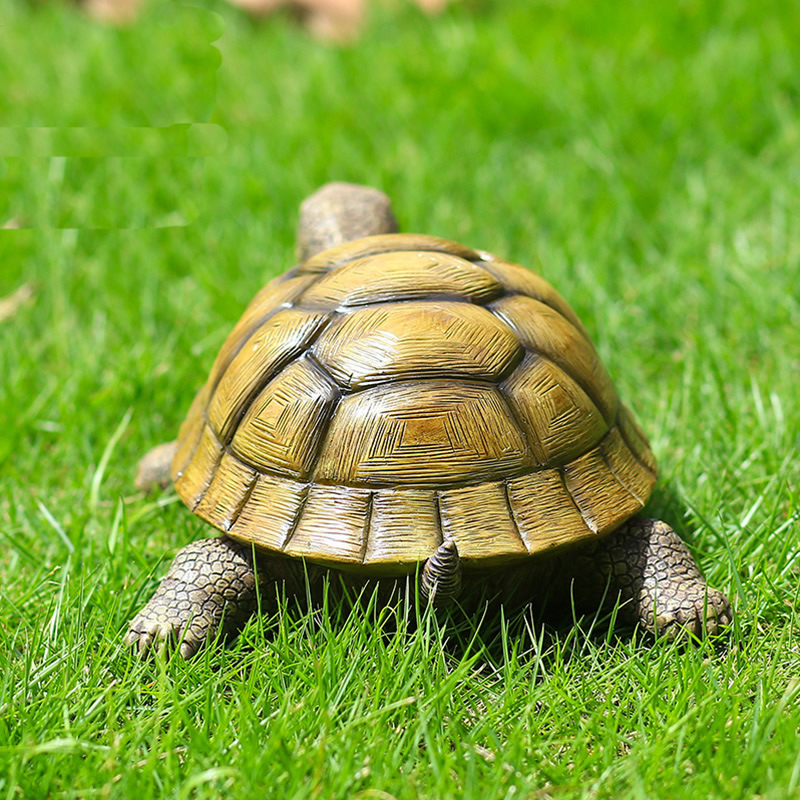 Niedliche dekorative Schildkrö – Marine Fish Tank Bewertung und Preis